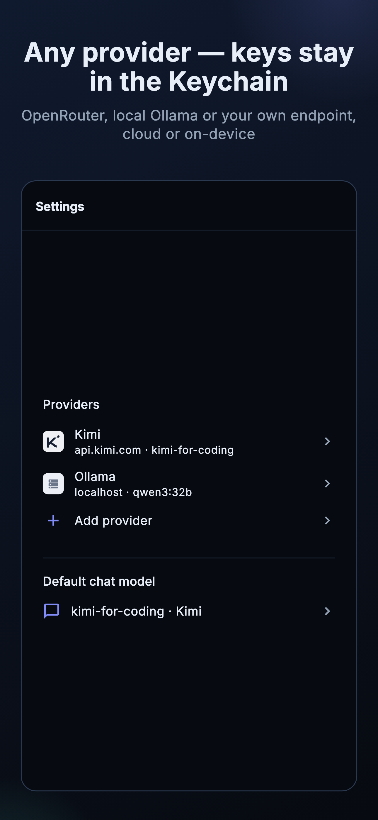 Providers frame: the provider settings with keys stored in the Keychain